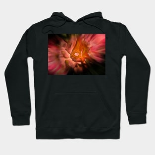 Backyard Flowers 40 Color Flow Version Hoodie